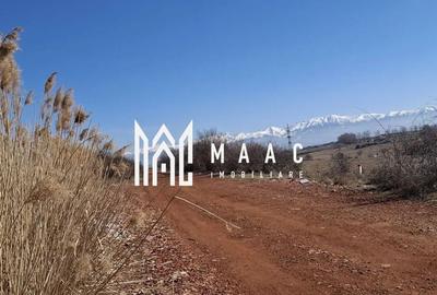 Teren Extravilan I 3400mp I Intabulat I Zona Dealul Daii - 2