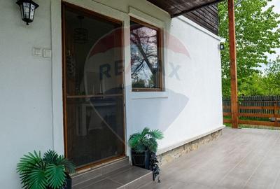 Vanzare vila, Stefesti-Prahova - 28