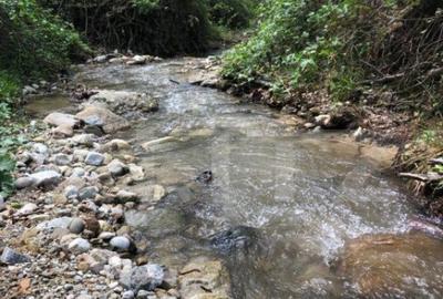 Teren, 9.746 mp, zona Cernadia - 4