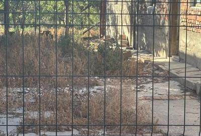 Casa solida aproape de Lidl Dumbravita - 7