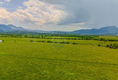 Teren 10,800mp Rasnov / Drumul DN73 - 32