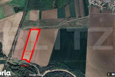Teren de 90000 mp, în Puchenii Mari - 3