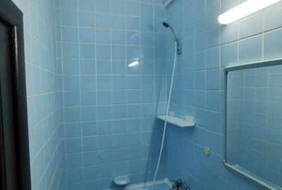 DRISTOR- METROU 6 MINUTE - 3 Camere Casa La Curte - 10