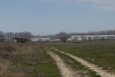 Teren de 5000 mp, în Podari - 3