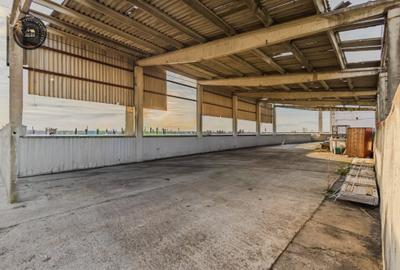 Hala industriala de vânzare – Bod, Brasov - 3