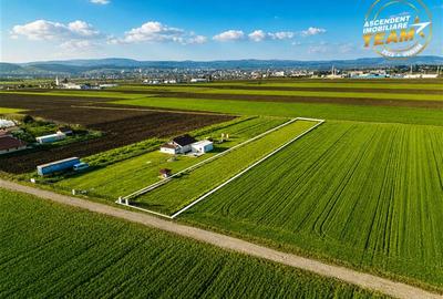 Teren Construcții intravilan de 2498 mp, în Chilieni - 7