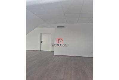 Depozit/hala/spatiu industrial Chiajna - Chitila - Rudeni - 4