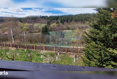 Casă cu 4 camere cu Teren 4500 Mp în Tureni - 3