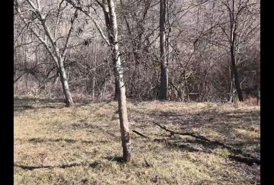 Teren de 2848 mp, în Aghireșu - 1