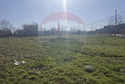 Teren Construcții intravilan de 350 mp, în Dobroești - 3