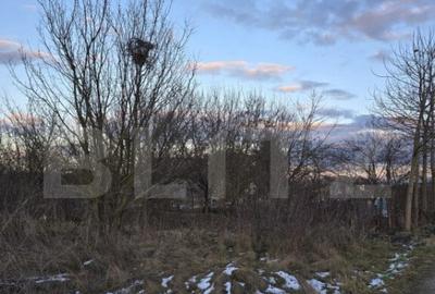 Teren 8 ari, Martinesti - 1