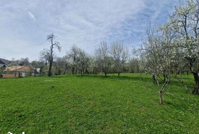 Teren de 3500 mp, în Ghioșești - 6