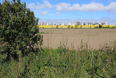 Teren agricol extravilan de 25000 mp, în Exterior Vest - 1