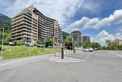 Pet Friendly complex Tampa Gardens - 2