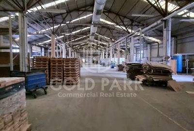 Hala in curs de Renovare-Calea Baciului-Suprafete intre 300-800 mp - 6