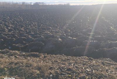 Teren de 2600 mp, în Central