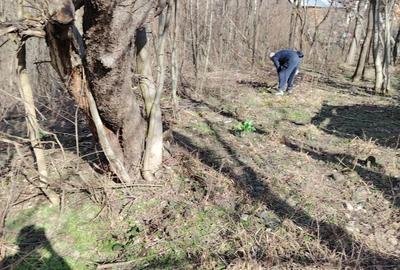Spațiu comercial, în Țerova - 2