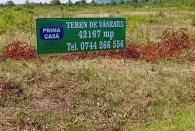Teren intravilan de 42167 mp, în Tăuții-Măgherăuș