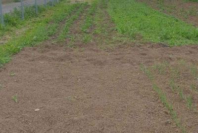 Spațiu comercial, în Mihai Viteazu - 3