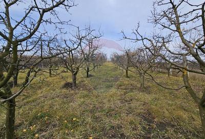 Teren extravilan de 10791 mp, în Fălticeni - 14