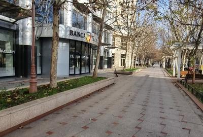 Unirii (Banca Transilvania), Et 2, vedere bulevard - 8