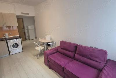 Vand apartament 2 camere la Rin grand hotel - 9