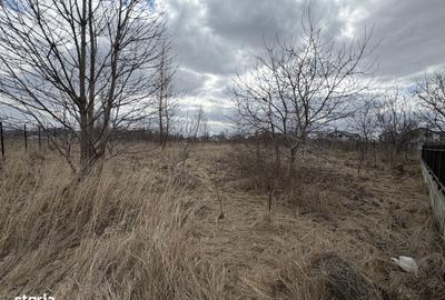 Teren de 700 mp, în Șerbănești - 2