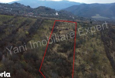 Teren de 14328 mp, în Nucșoara - 2