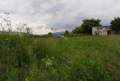 De vânzare – Proprietate ideală pentru fermă / agroturism – Șercaia, jud. BV - 1