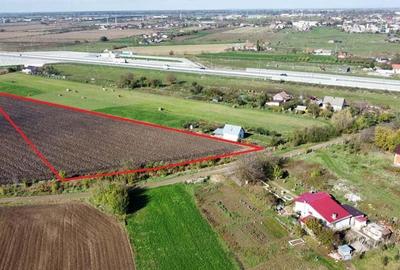 Teren de 5000 mp in Satu Mare | Oportunitatea Perfecta pentru Casa Visurilor Tale | Proiect Imobilia - 1
