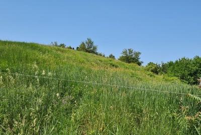 Spațiu comercial, în Bucium - 3