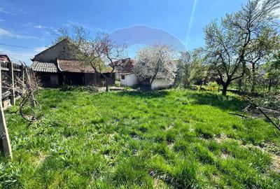 Casă individuală cu 7 camere cu Teren 626 Mp în Pârneava - 11