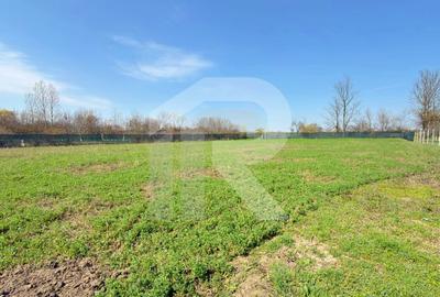 Casă individuală cu 4 camere cu Canalizare în Tătărăștii de Sus - 24