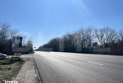 Teren de 12500 mp, în Almăj - 2