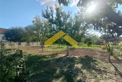 Casa de vanzare centrul orasului Curtici - 14