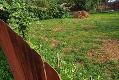 Casă cu 4 camere în Stâlpeni - 2