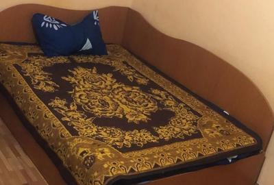 Garsonieră semidecomandată în Brazda lui Novac - 4