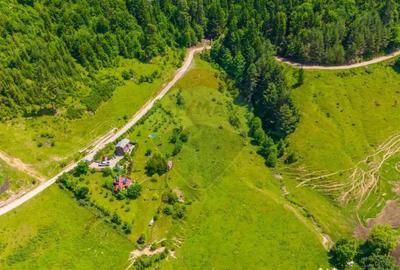 Teren de 7400 mp, în Tărlungeni - 4