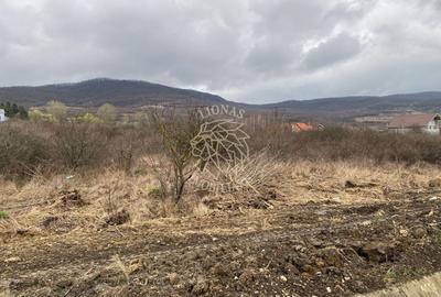 Teren Construcții intravilan de 12719 mp, în Crainimăt - 4
