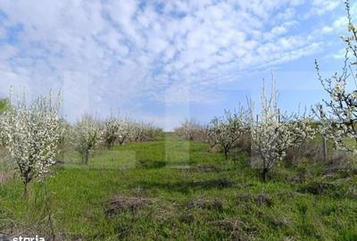 Spațiu comercial, în Central - 3