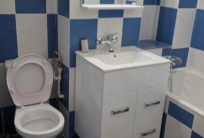 Garsonieră decomandată în Horia - 7