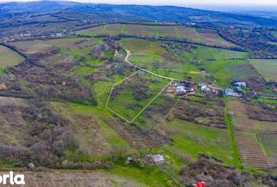 Teren de 33500 mp, în Bucov - 13