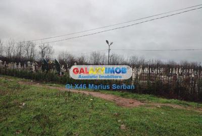 Teren extravilan Targoviste - 2