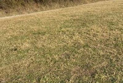 Spațiu comercial, în Gura Râului - 2