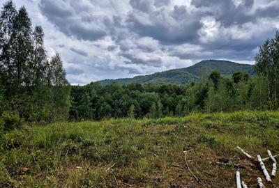 Vand teren in zona Fagaras, ideal refugiu vacanta/Comision 0 % - 4
