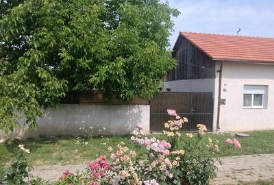 Casă individuală cu 3 camere cu Teren 1530 Mp în Copăcele - 3