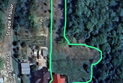 Casă individuală cu 2 camere cu Teren 2519 Mp în Govora - 11