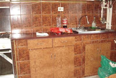 Apartament cu 2 camere decomandat în Gojdu - 5