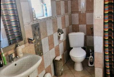 Casa de vanzare in Comuna Radesti,Sat Mescreac jud.Alba - 5