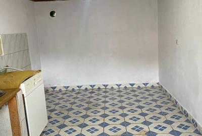 Casă cu 4 camere în Uileacu de Munte - 10